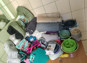 Podziękowania za udział w zbiórce dla zwierząt z Fundacji Niechciane i Zapomniane.