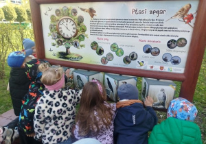 Dzieci oglądają zdjecia ptaków w "Ptasim Zakątku"