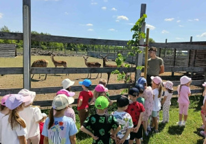 dzieci słuchają leśnika, który opowiada o zwierzętach