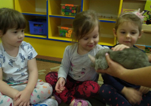 Dzieci obserwują Mikusia chodzącego po dywanie oraz głaskają gryzonia