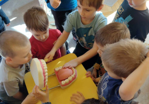 Dzieci poznają budowę jamy ustnej przy wykorzystaniu fantomu
