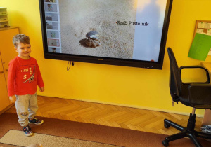 chłopiec opowiada o krabie pustelniku