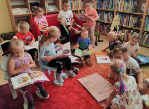 Biblioteka - grupa srebrna