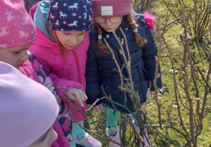 Dzieci oglądają rozkwitające paczki na krzewach