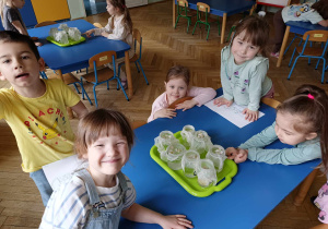 dzieci stojąc przy stolikach obserwują wzrost swoich fasolek i zaznaczają je w kartach obserwacji przyrody