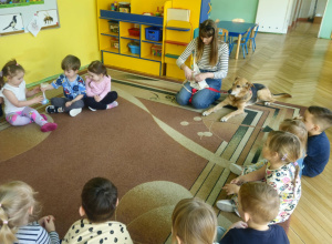 Piesek Mija - grupa niebieska, zielona i pomarańczowa