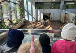 dzieci spacerują po ZOO i oglądają różne gatunki zwierząt