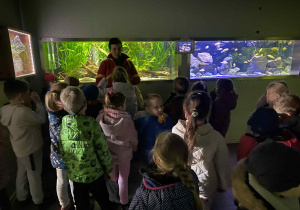 dzieci spacerują po ZOO i oglądają różne gatunki zwierząt