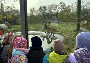 dzieci spacerują po ZOO i oglądają różne gatunki zwierząt