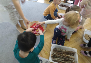 Dzieci na ścieżce sensorycznej