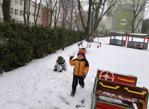 Dokarmiamy ptaki zimą - grupa zielona