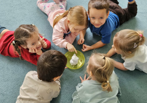 Dzieci obserwują topniejący śnieg.