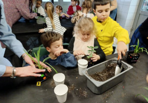 dzieci sadzą rośliny