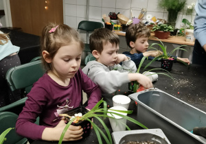 dzieci ozdabiają podłoże zasadzonych przez siebie roślin