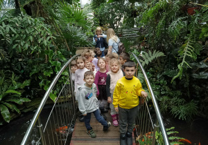 dzieci spacerują po palmiarni