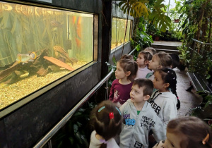 dzieci spacerują po palmiarni, oglądają ryby w akwariach