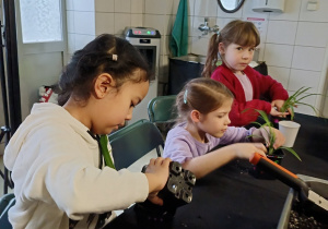 dzieci sadzą rośliny