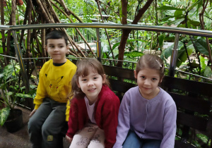 chłopiec i dwie dziewczynki siedzą na ławce w palmiarni