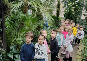 dzieci spacerują po palmiarni