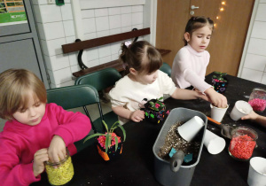 dzieci ozdabiają podłoże zasadzonych przez siebie roślin