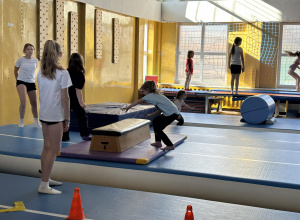 Szkoła Mistrzów Kokoro