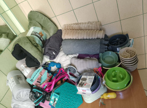 Podziękowania za udział w zbiórce dla zwierząt z Fundacji Niechciane i Zapomniane.