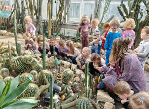 Palmiarnia - grupa zielona