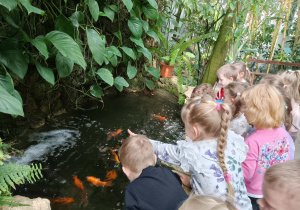 Dzieci karmią rybki