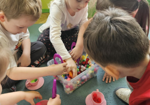 Dzieci w małych grupach nakładają szczypcami kulki w kolorach odpowiadających kolorze podstawy filiżanki.