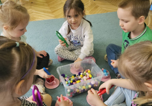 Dzieci w małych grupach nakładają szczypcami kulki w kolorach odpowiadających kolorze podstawy filiżanki.