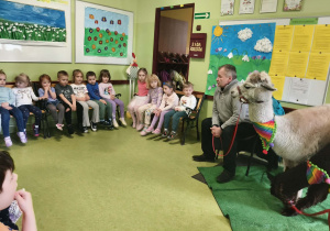 dzieci słuchają ciekawostek o alpakach