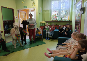 dzieci słuchają ciekawostek o alpakach
