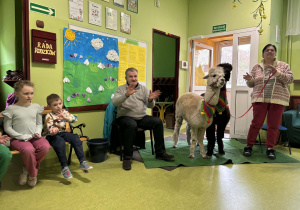 dzieci słuchają ciekawostek o alpakach
