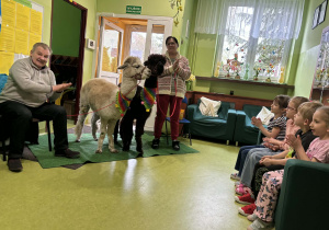 dzieci słuchają ciekawostek o alpakach