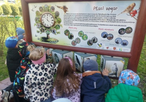 Dzieci oglądają zdjecia ptaków w "Ptasim Zakątku"