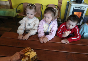 Zajęcia edukacyjne "Z życia pszczół"