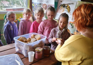 Dzieci degustują miodów z pasieki, miód malinowy, cynamonowy i lipowy.