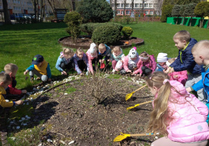Dzieci grabią rabatę z ziołami i wyrywają chwasty