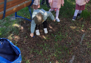 Dzieci zbierają śmieci w ogrodzie przedszkolnym