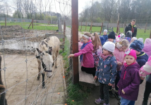 Dzieci karmią zwierzęta