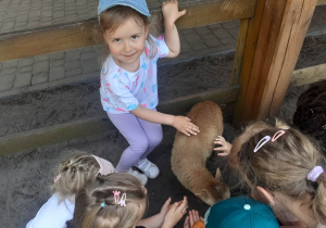 Dzieci karmią i głaszczą zwierzęta w mini zoo