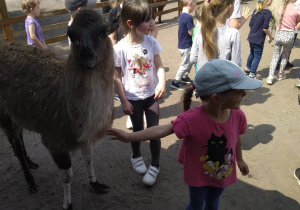 Dzieci karmią i głaszczą zwierzęta w mini zoo