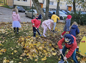 Jesienne porządki - grupa niebieska i zielona