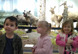 Dzieci oglądają eksponaty muzealne