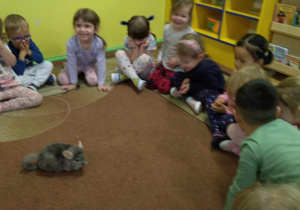 Dzieci obserwują Mikusia chodzącego po dywanie oraz głaskają gryzonia