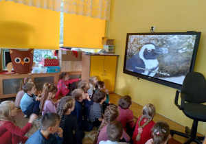 dzieci oglądają film przyrodniczy na temat pingwinów