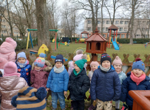 Ptaki zimą - grupa zielona