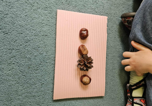 Dzieci układają rytmy z kasztanów i szyszek.