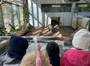 Wizyta w Orientarium - grupa czerwona i srebrna