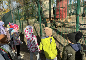 dzieci spacerują po ZOO i oglądają różne gatunki zwierząt